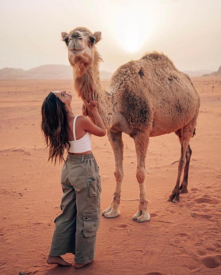 Sun Luxury Camp &Tour Apartment Wadi Rum Exterior photo