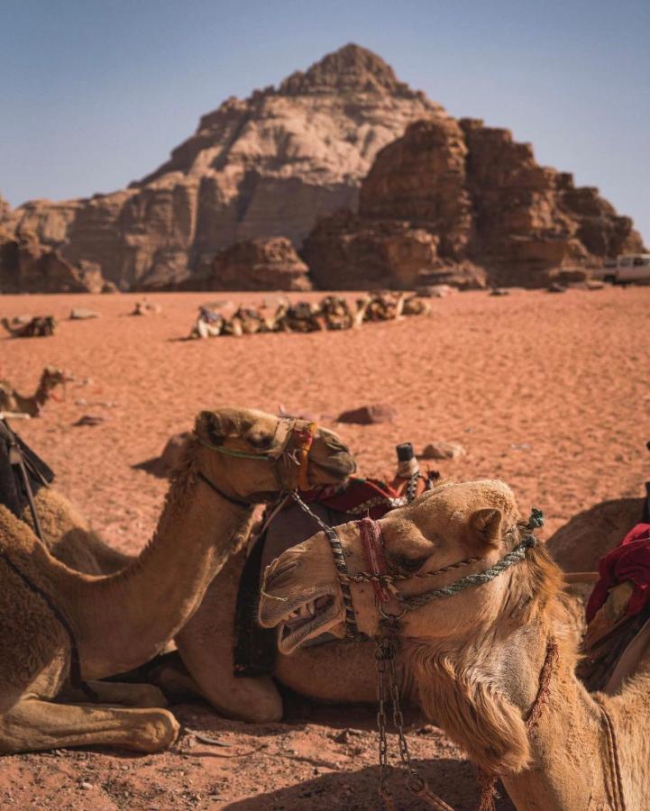 Sun Luxury Camp &Tour Apartment Wadi Rum Exterior photo